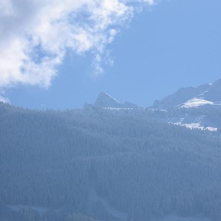 Hohe Tauernblick Daire Mittersill Dış mekan fotoğraf