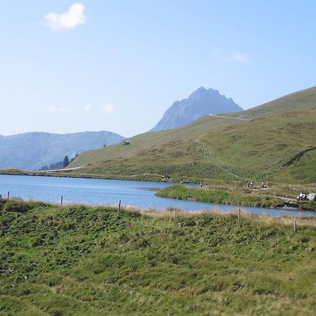 Hohe Tauernblick Daire Mittersill Dış mekan fotoğraf