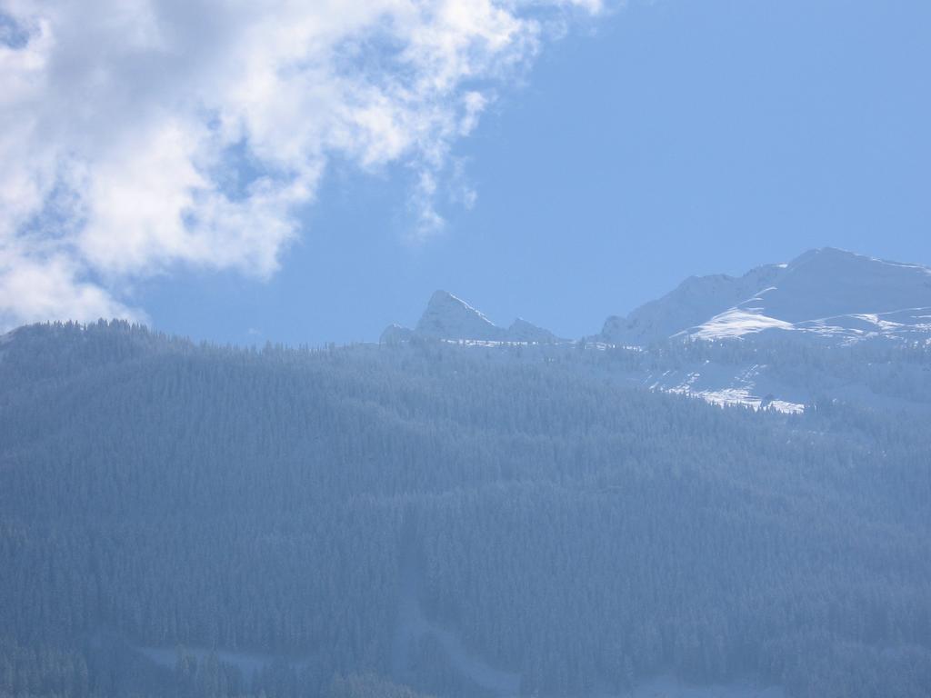 Hohe Tauernblick Daire Mittersill Dış mekan fotoğraf